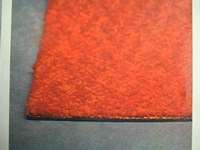 DSC00073.JPG